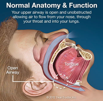 A person Internal Moth structure